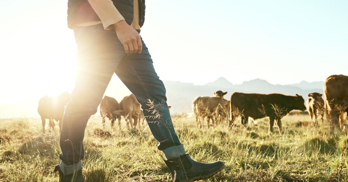 πρωτογενής τομέας